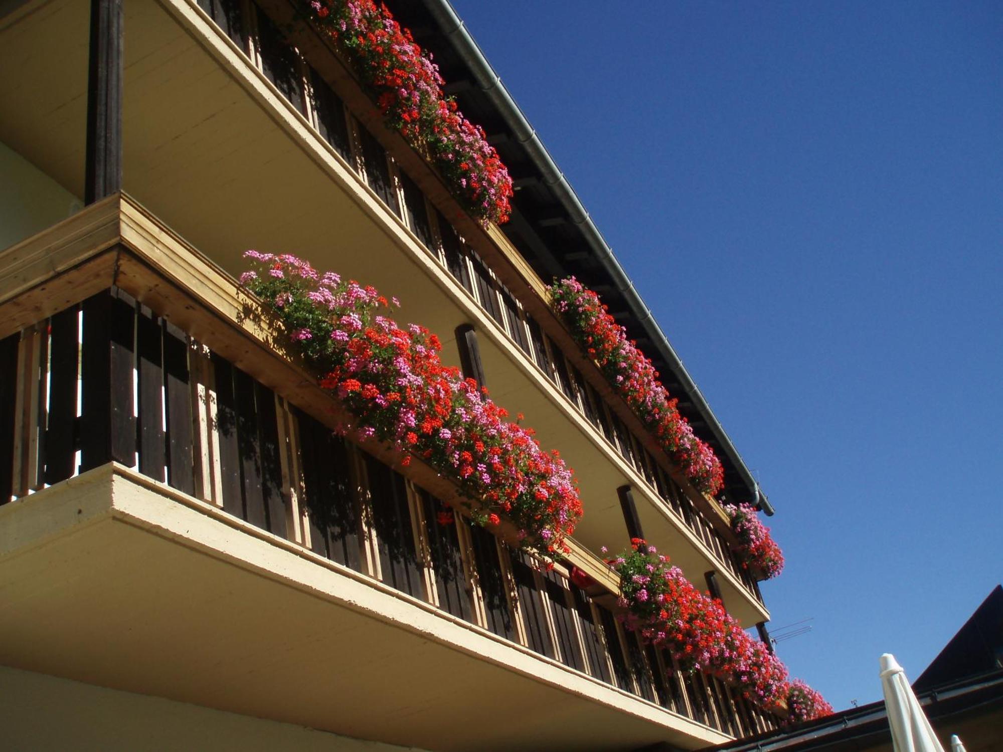 Hotel Laerchenhof à Sankt Jakob in Defereggen Extérieur photo